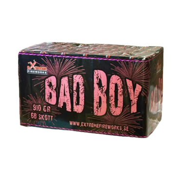 Bad Boy